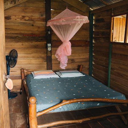 Angry Birds Tree House Apartman Habarana Kültér fotó