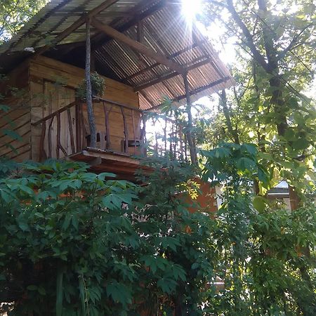Angry Birds Tree House Apartman Habarana Kültér fotó