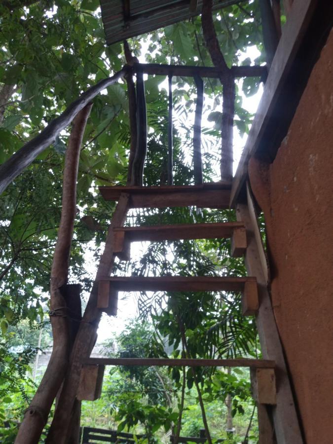 Angry Birds Tree House Apartman Habarana Kültér fotó