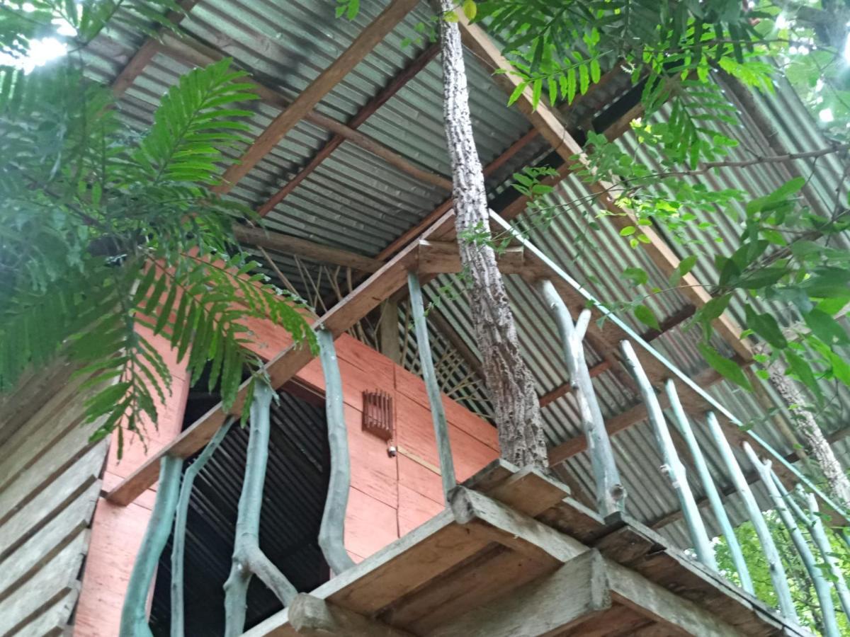 Angry Birds Tree House Apartman Habarana Kültér fotó