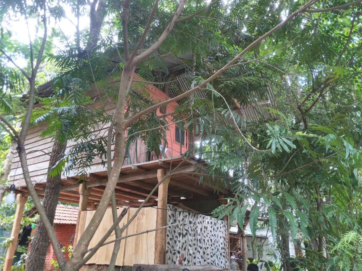 Angry Birds Tree House Apartman Habarana Kültér fotó