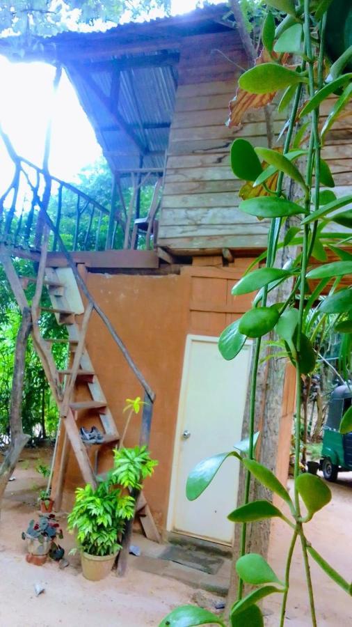 Angry Birds Tree House Apartman Habarana Kültér fotó