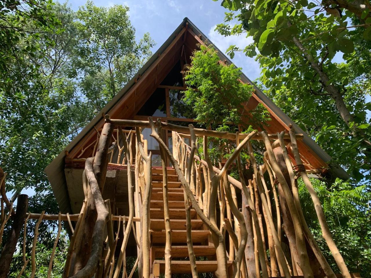Angry Birds Tree House Apartman Habarana Szoba fotó
