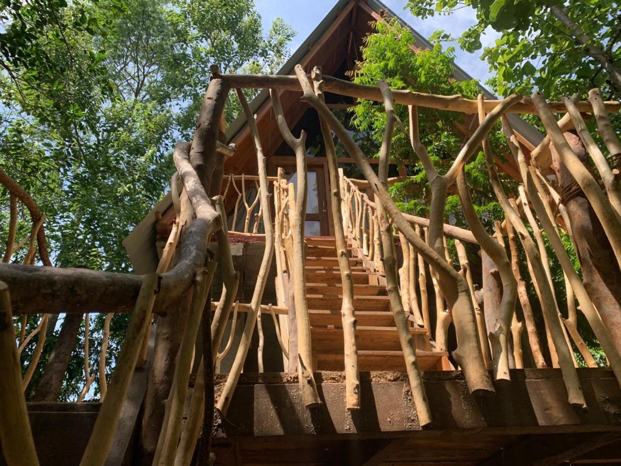 Angry Birds Tree House Apartman Habarana Kültér fotó