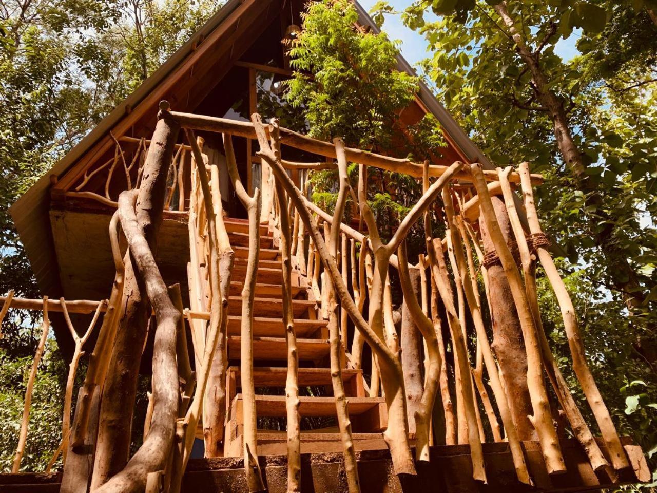 Angry Birds Tree House Apartman Habarana Kültér fotó
