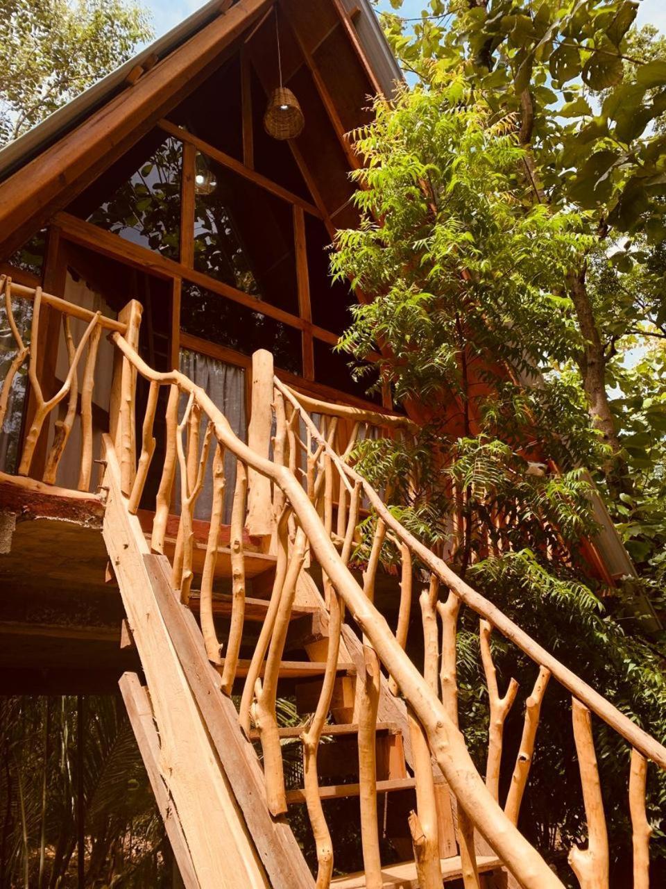 Angry Birds Tree House Apartman Habarana Kültér fotó