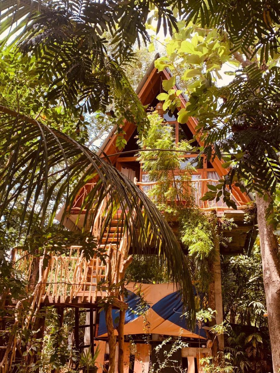 Angry Birds Tree House Apartman Habarana Kültér fotó