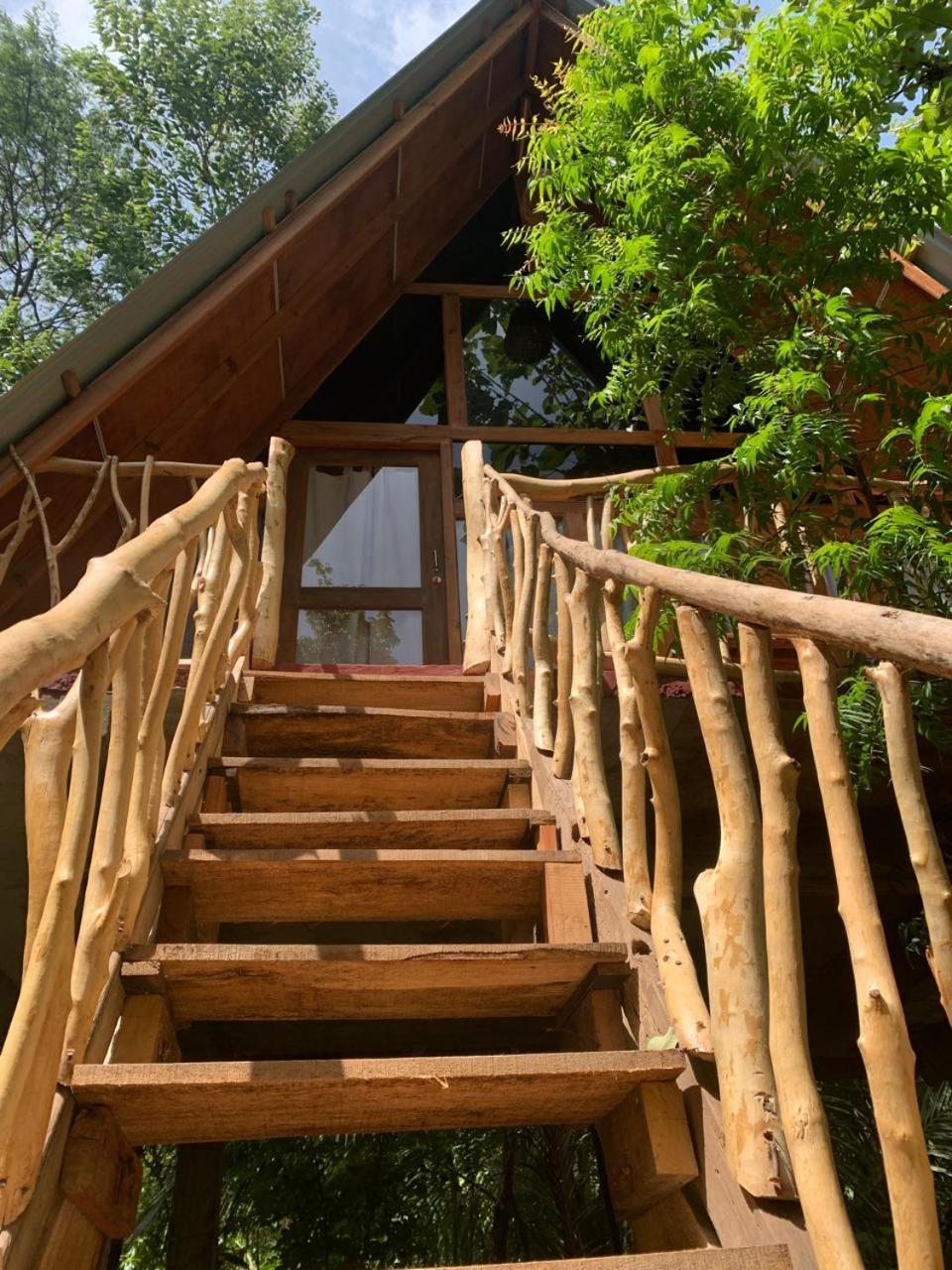 Angry Birds Tree House Apartman Habarana Kültér fotó