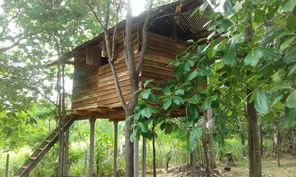 Angry Birds Tree House Apartman Habarana Kültér fotó