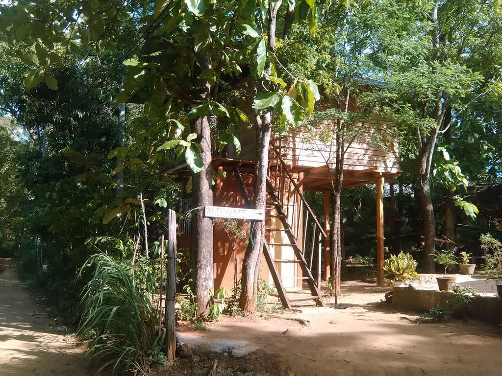 Angry Birds Tree House Apartman Habarana Kültér fotó