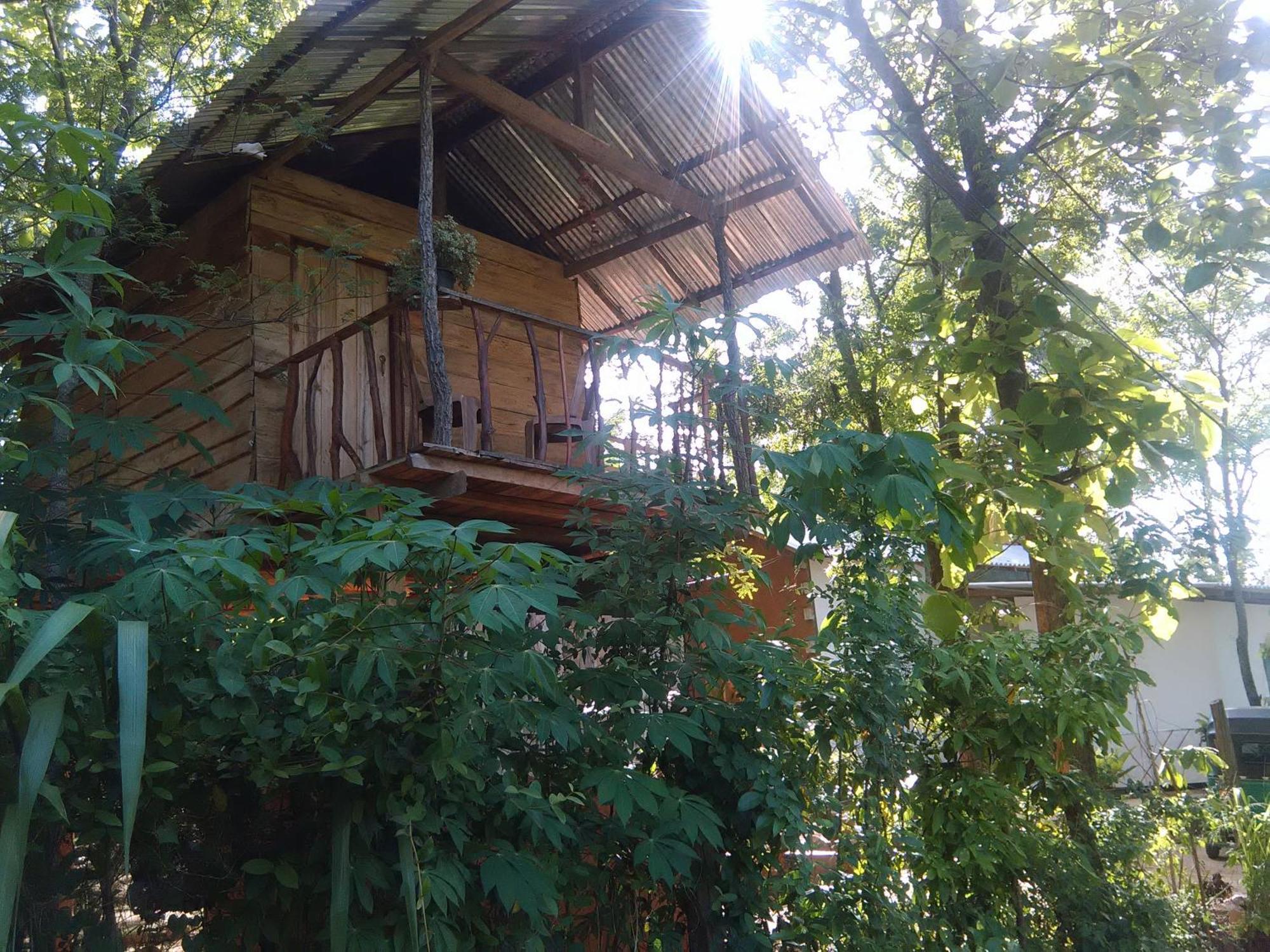Angry Birds Tree House Apartman Habarana Kültér fotó