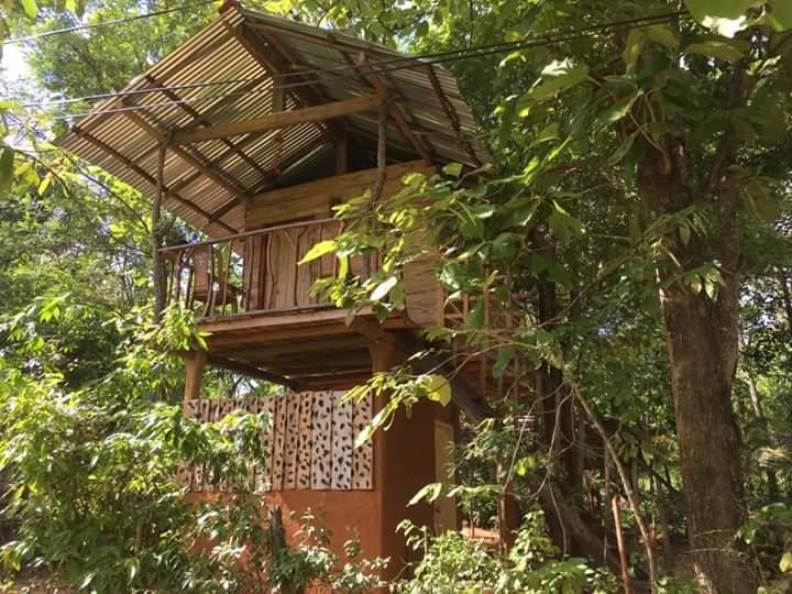 Angry Birds Tree House Apartman Habarana Kültér fotó