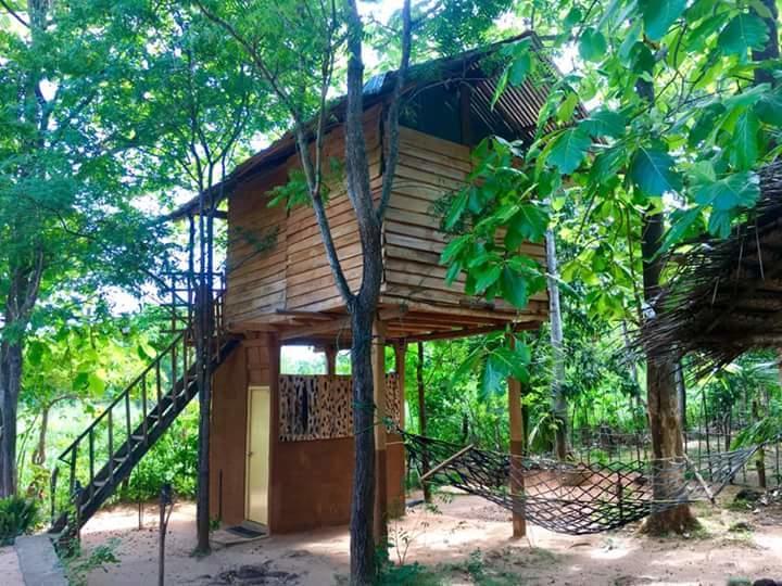 Angry Birds Tree House Apartman Habarana Kültér fotó
