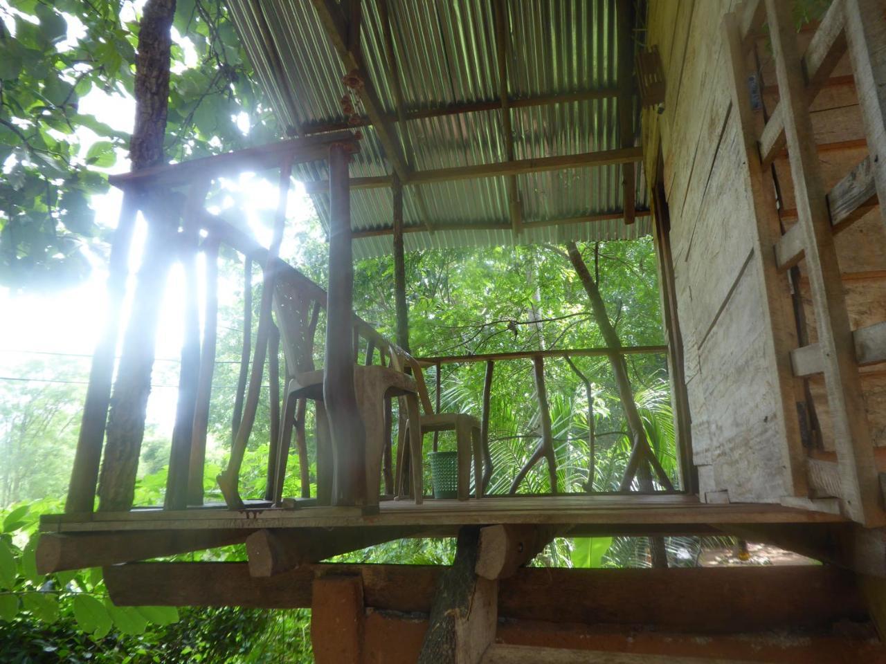 Angry Birds Tree House Apartman Habarana Kültér fotó
