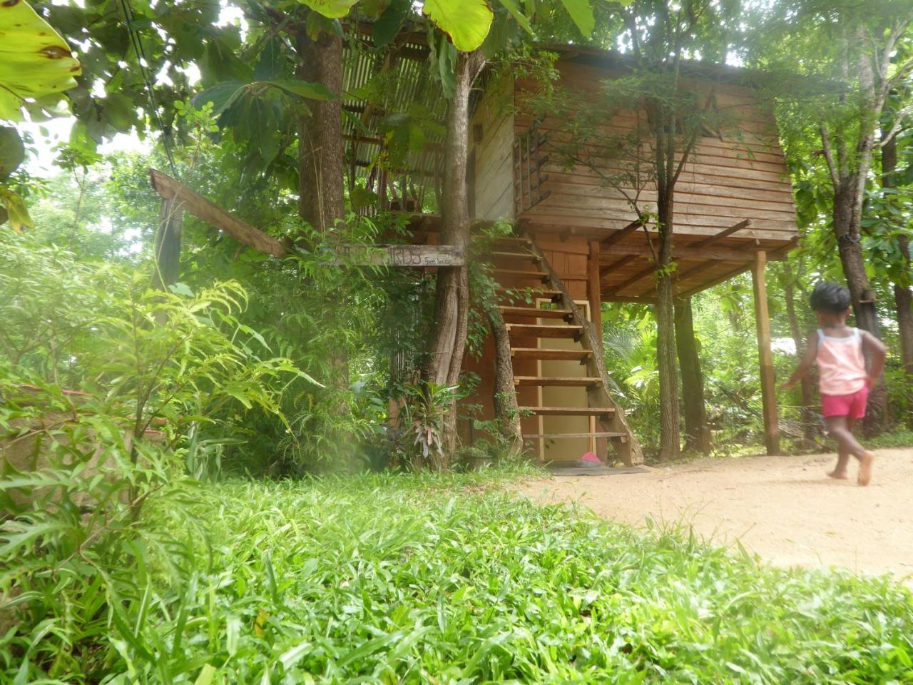 Angry Birds Tree House Apartman Habarana Kültér fotó