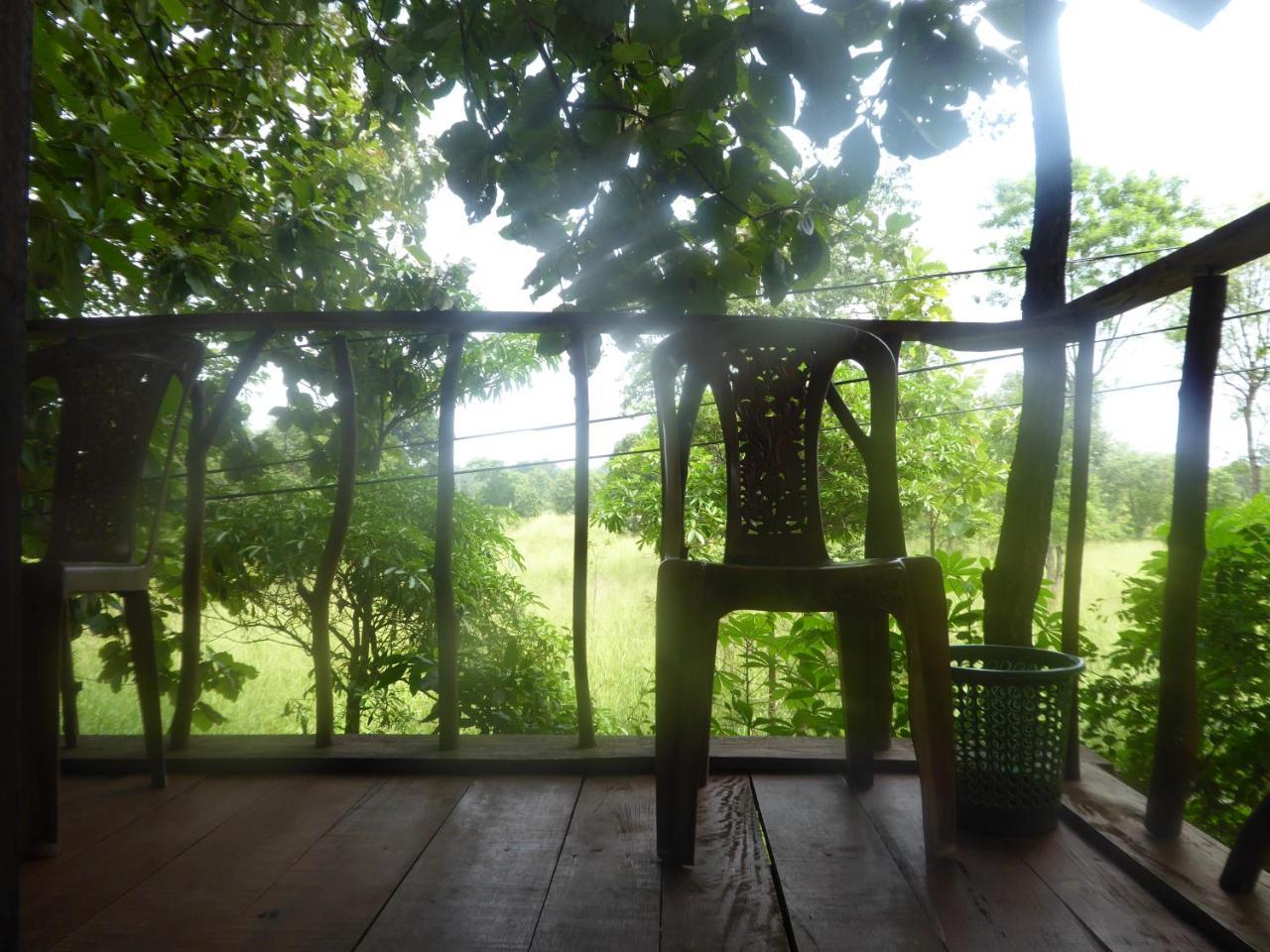 Angry Birds Tree House Apartman Habarana Kültér fotó