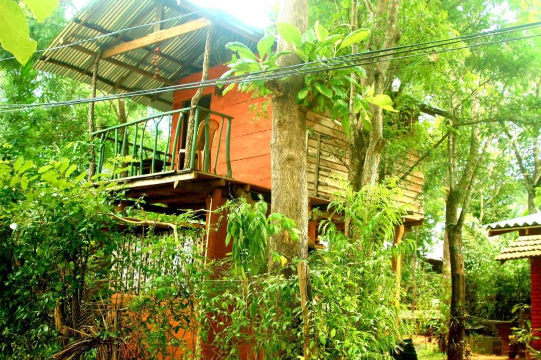 Angry Birds Tree House Apartman Habarana Kültér fotó